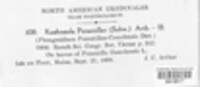 Image Associated With the Occurence